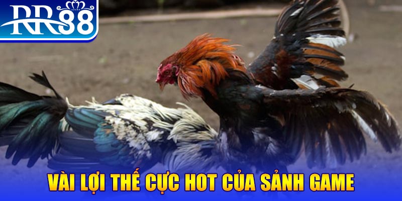 888new xổ số quảng nam