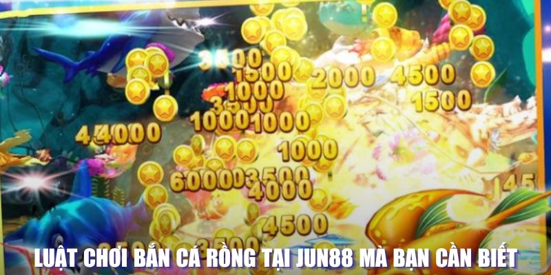 888new xổ số đài hà nội