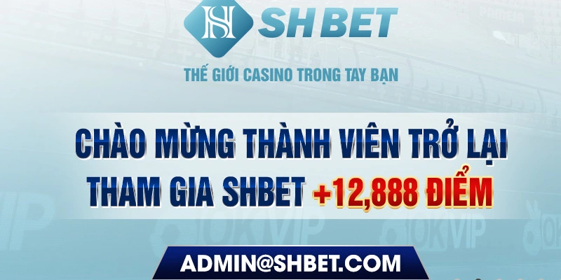 888new 789bet có bao nhiêu sảnh game bài 3d ？