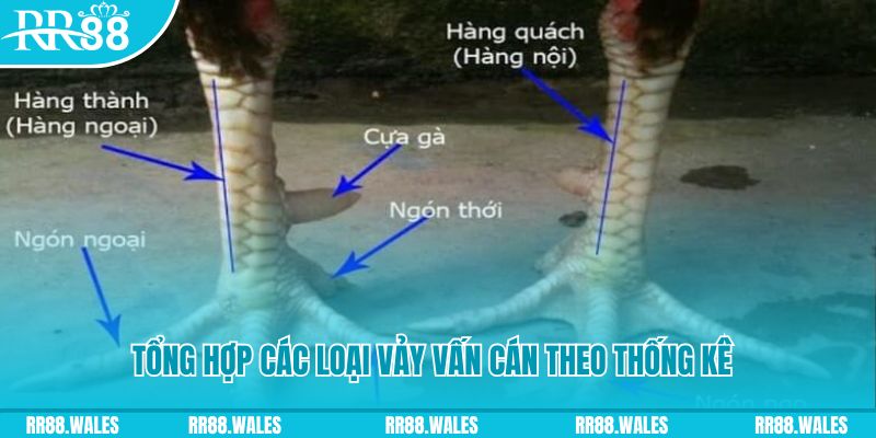 HB Điện Tử