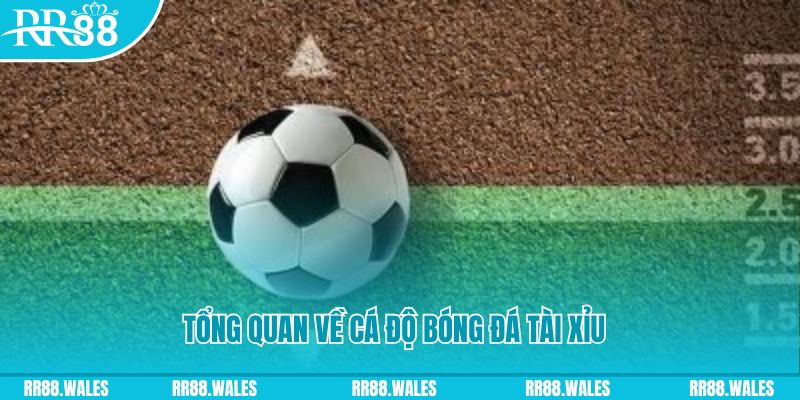 888new đăng nhập roulette online