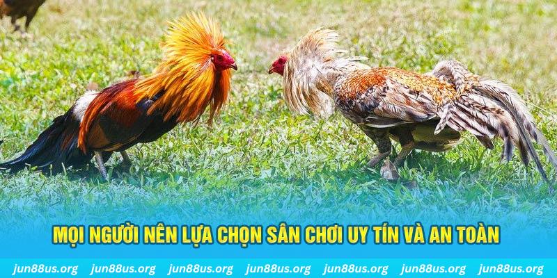 888new Cỡ bảy