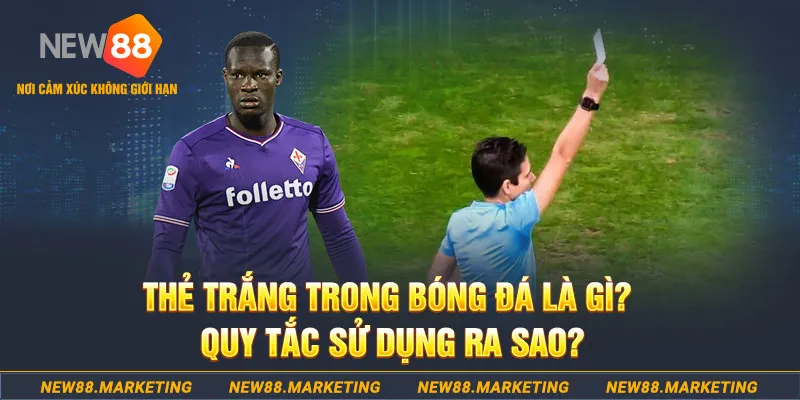 888new đăng nhập sòng bạc hôm nay