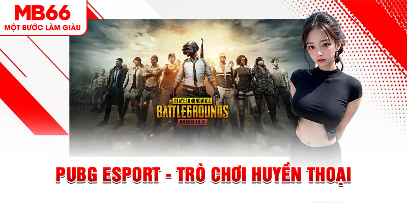 888new casino online là gì