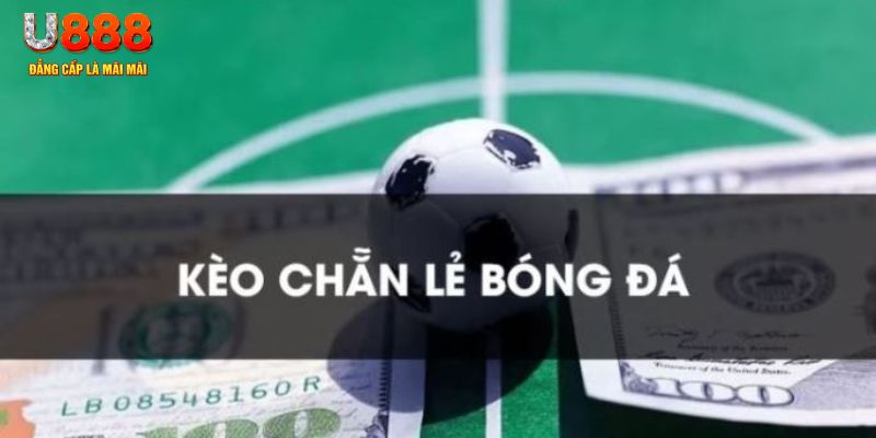 888new gà chọi c1.tv